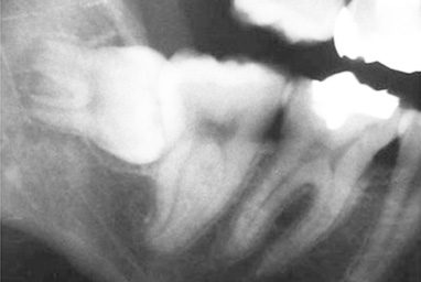 slide5-歯科口腔外科-1